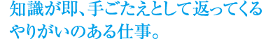 知識が即、手ごたえとして返ってくるやりがいのある仕事。